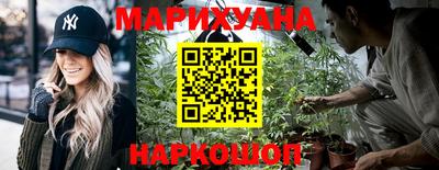 прущие крисы Гусев