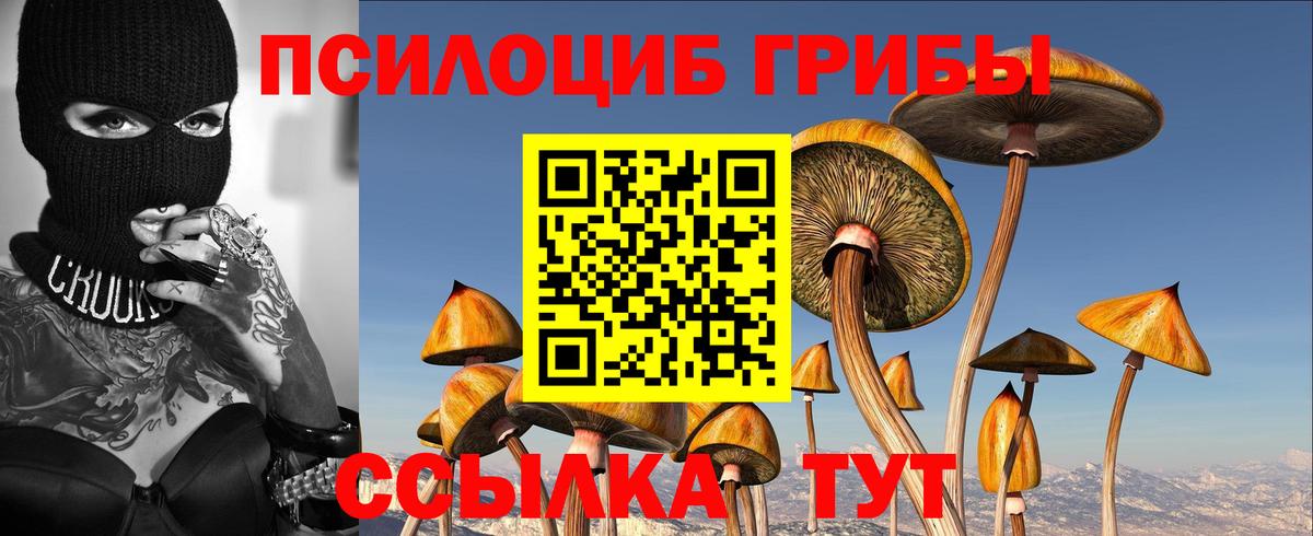 Галлюциногенные грибы GOLDEN TEACHER  Галлюциногенные грибы ЛСД  Михайловка  Вход с VPN 